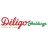 DILIGO Holdings
